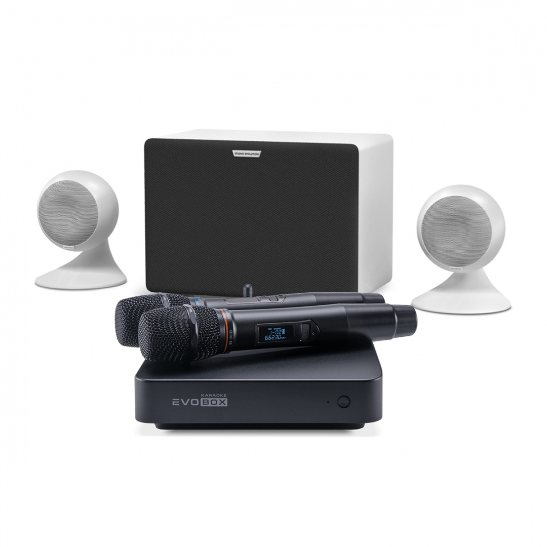 караоке-комплект EVOBOX Classic + EvoSound Sphere 2.1 в Уренгое