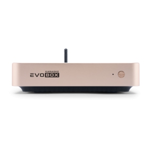 EVOBOX Classic караоке-система для дома в Уренгое