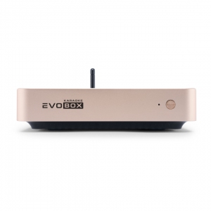 EVOBOX Plus караоке-система для дома в Уренгое