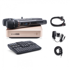 EVOBOX Plus караоке-система для дома в Уренгое