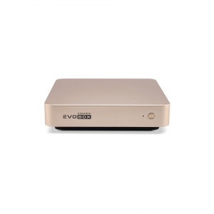 EVOBOX с микрофонами в Уренгое